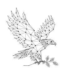 Fototapeta premium Eagle Wireframe Silhouette Logo Black Vector