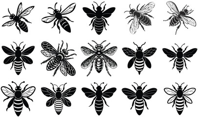 Fototapeta premium A collection of detailed black and white vector illustrations of honey bees and wasps in flight