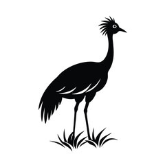 Obraz premium Secretarybird Savanna Vector Silhouette