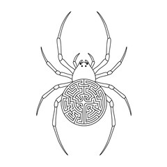 Spider Maze Line Art – Creepy Crawly Puzzle for Kids