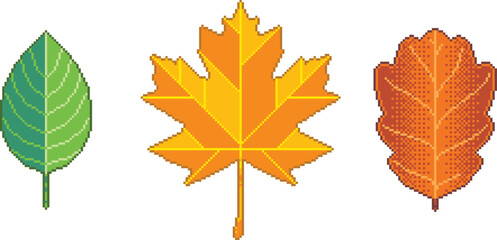 Pixel art leaves set. Maple, oak and birch foliage seasonal design for video game icons - vector.