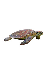 Naklejka premium Isolated Turtle Transparent Background Sea Turtle Reptile Wildlife