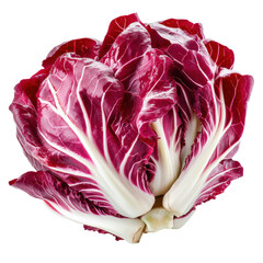 Obraz premium Fresh radicchio red salad isolated on clean Transparent background for culinary presentation, Radicchio red salad isolated on PNG background