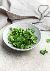 Fresh microgreens of tatsoi in a bowl, creating a healthy culinary scene