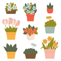 Collection of House Plants and Flowers in Pots.