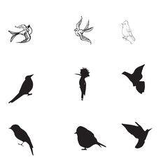  Black and White Birds Vector set