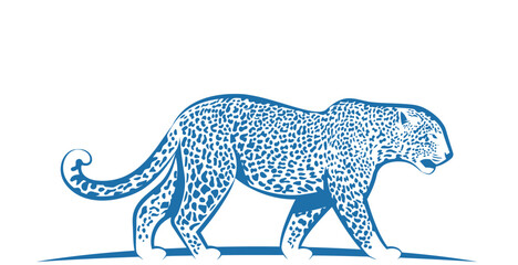 illustration of a tiger