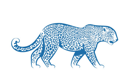 vector image of a tiger