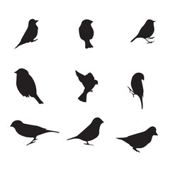  Cute Birds Vector