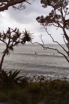 Surfers catch waves, Noosa Heads, T-Tree Point