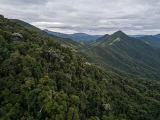 Fototapeta premium Beautiful aerial view to green rainforest and mountains