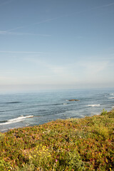 Ocean View in Ericeira Portugal with Green Hills on a Cliff