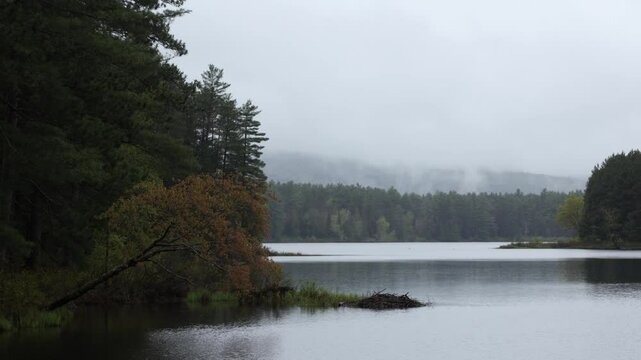 Scenic View of Bonnechere river at Couchain lake during rainy day