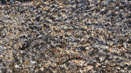 Stone Texture Old Weathered Surface Rough Detail Closeup Natural Gray Macro Pattern
