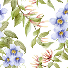 Honeysuckle and bindweed flowers watercolor seamless pattern on white. Thunbergia pastel purple blossom plant hand drawn repeat background. Botanical floral art of garden vines and lianas for hedge