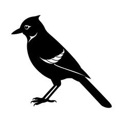Silhouette of a bird with a crest and visible wing feather details