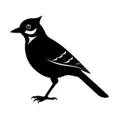 Silhouette of a bird with a crest standing on its thin legs side view