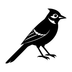 Silhouette illustration of a bird with crest and patterned wing