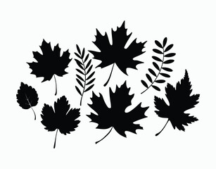 Botanical Autumn Leaves Silhouette Design Vector Set