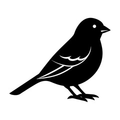 Obraz premium Silhouette of a small bird with detailed wing markings standing up