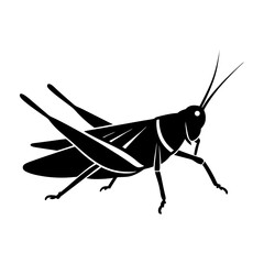 Silhouette illustration of a grasshopper with detailed features