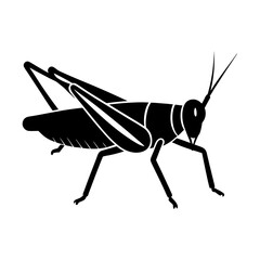 Silhouette illustration of a grasshopper with detailed wing design