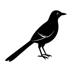 Silhouette illustration of a magpie bird standing on its feet
