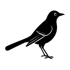 Silhouette illustration of a bird standing with a long tail view