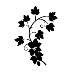 Silhouette of a climbing plant with leaves and curly tendrils design