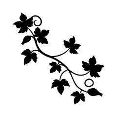 Obraz premium Silhouette of a leafy vine with curling tendrils and pointed leaves
