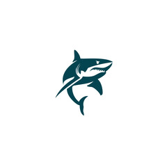 shark vector illustration