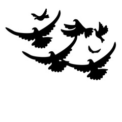 Flying bird silhouette vector