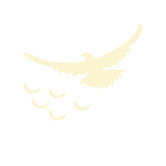 Flying bird silhouette vector