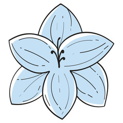 Hand Drawn Color Floral Gladious Flower Illustration