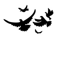 Flying bird silhouette vector