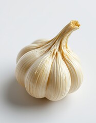 Single Garlic Bulb on White