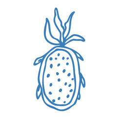 Hand drawn blue pitaya in doodle style. Mediterranean summer icon, element for italian menu, wedding, print, invitation. Ink sketch design of summer beach. Flat tropical minimalist vector illustration