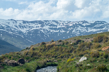 Water stream flowing from melting snow in the spring, Sierra Nevada range, Andalusia, Spain