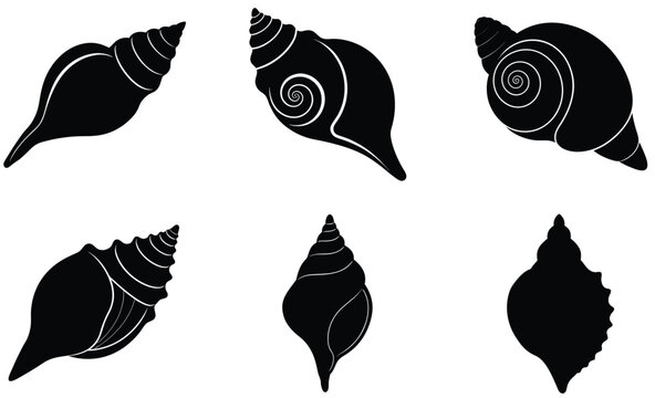 Junonia Volute Shell Silhouette Vector Set &ndash; Ornate Sea Shell Illustration, Exotic Marine Life Art, Coastal Ocean Decor, and Tropical Beach Design Elements