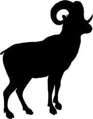 silhouette of a sheep