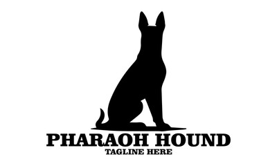Pharaoh hound icon. Pharaoh hound vector illustration, pharaoh hound logo design and noble desert heritage