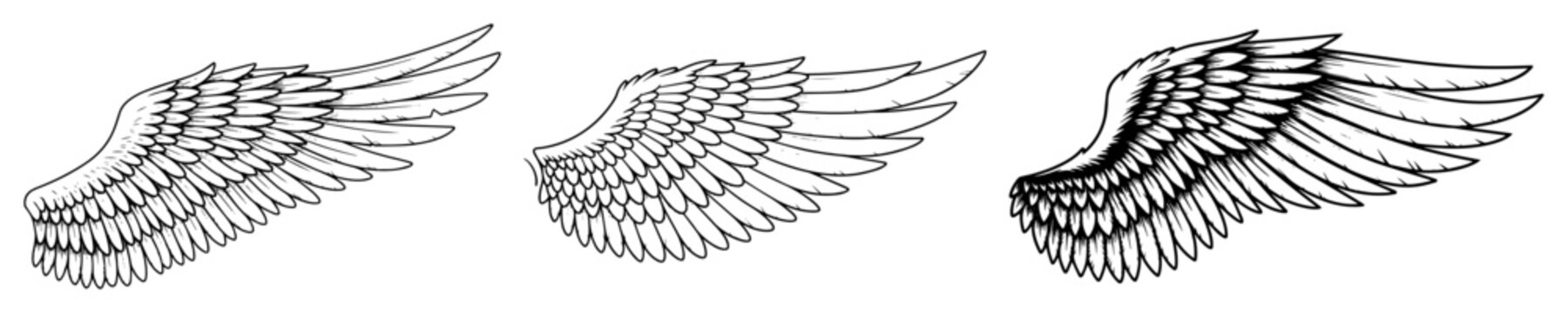 angel wings collection line drawing