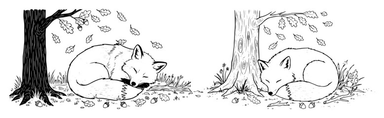 sleeping fox under autumn tree