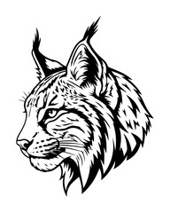 lynx head detailed sketch – wild animal vector illustration