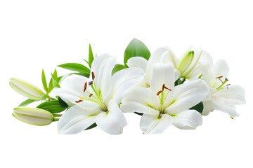 Elegant White Lilies Bouquet Photography Floral Beauty Freshness Purity Celebration Symbolism on transparent background
