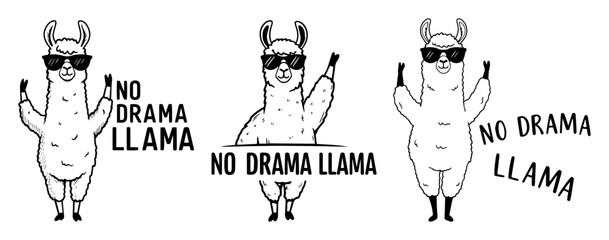 no drama llama funny cartoon set – quirky animal vector illustration © Aisha Kudorova