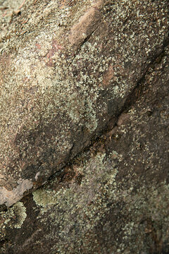 close up of rock face with lichen