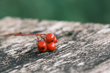 テーブルの上に置かれた赤い木の実