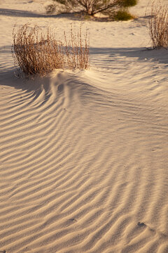 background patter of texture pattern of sand dune 