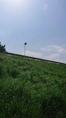 青空と土手の草